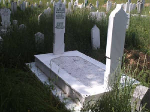 sb8.jpg