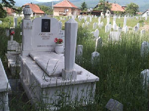 sb9.jpg
